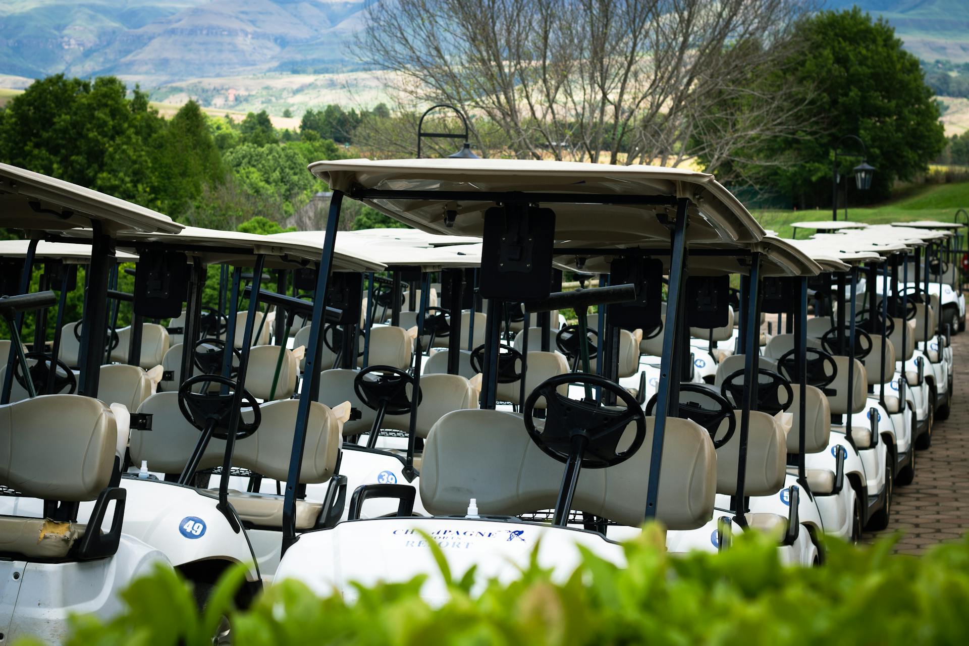 Golf carts parked in a row outdoors