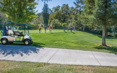 The Importance of Regular Golf Cart Tune Ups